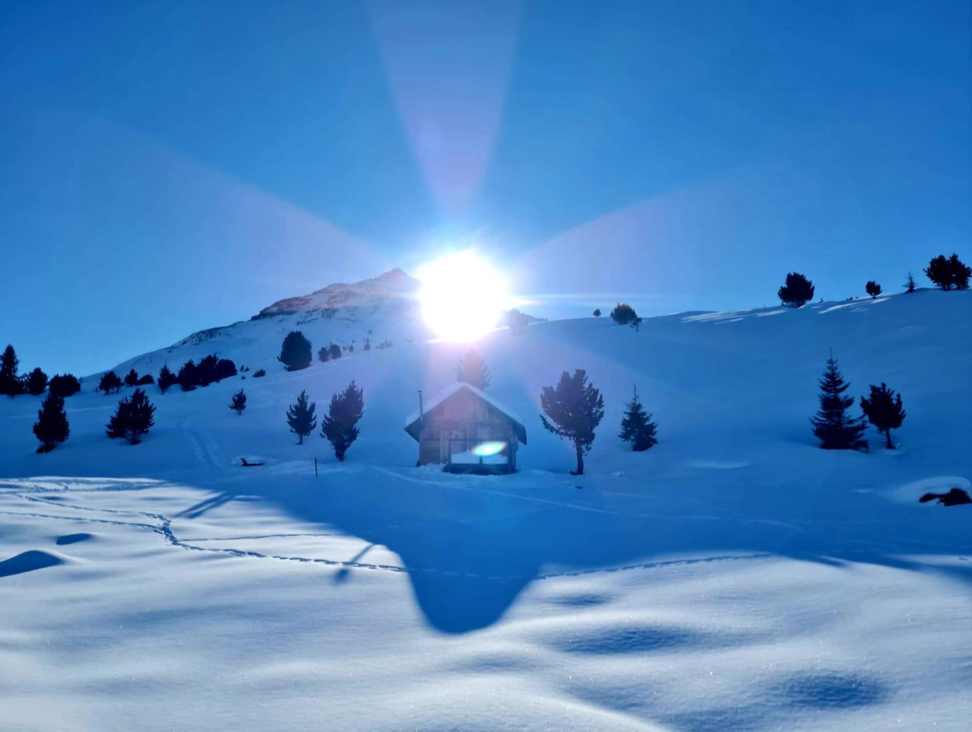 Haus Alpenblick Διαμέρισμα See Εξωτερικό φωτογραφία